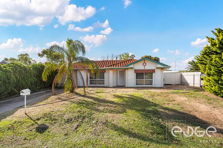 2 Pyrus Crescent, Andrews Farm SA 5114