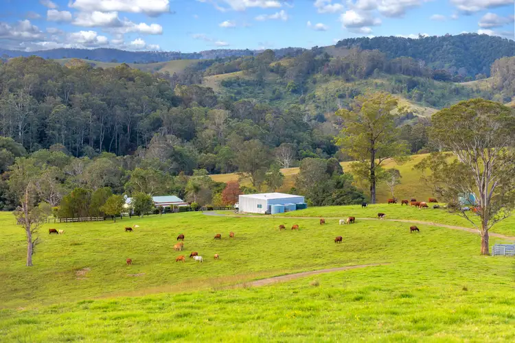 159 Yates Road, Bucca Wauka NSW 2429
