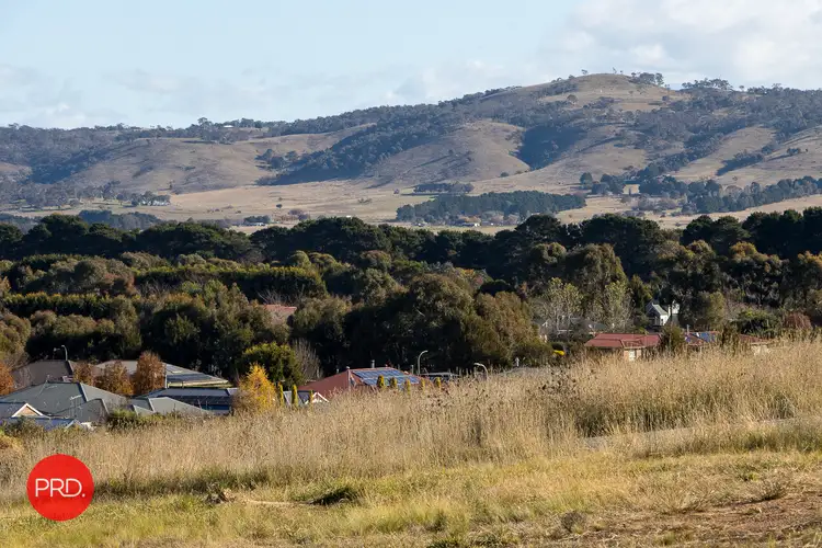Main view of Homely land listing, 42 Birchfield Drive, Bungendore NSW 2621