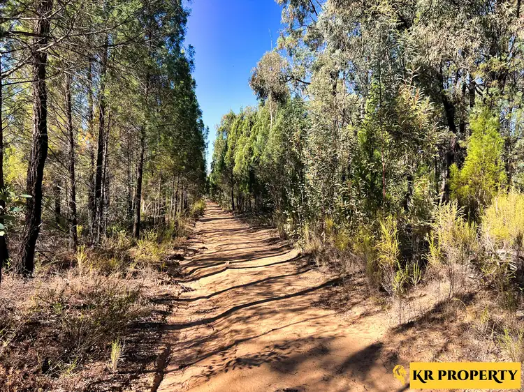 1790 Newell Highway, Coonabarabran NSW 2357