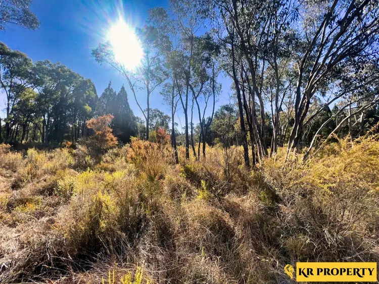 Second view of Homely rural property listing, 1790 Newell Highway, Coonabarabran NSW 2357
