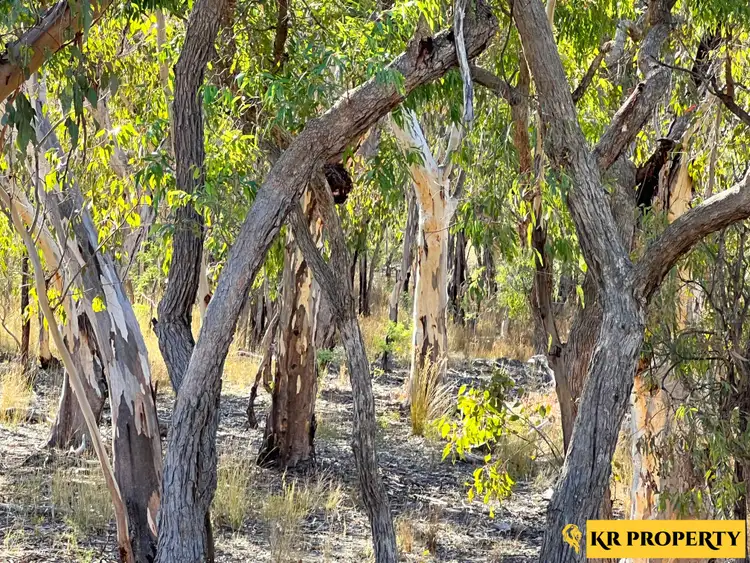 Fifth view of Homely rural property listing, 1790 Newell Highway, Coonabarabran NSW 2357