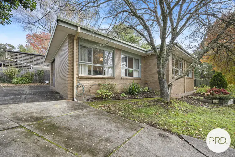 Third view of Homely house listing, 201 Shire Avenue, Mount Helen VIC 3350