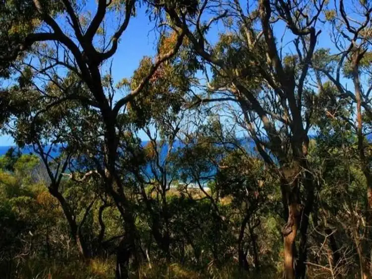 lot 83/552 Bloodwood Avenue Sunrise, Agnes Water QLD 4677