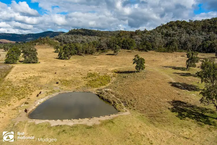 Fifth view of Homely rural property listing, 2160 Barigan Road, Mudgee NSW 2850