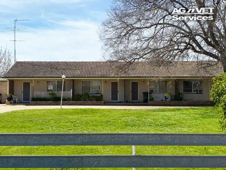 19 Allan Street, Henty NSW 2658