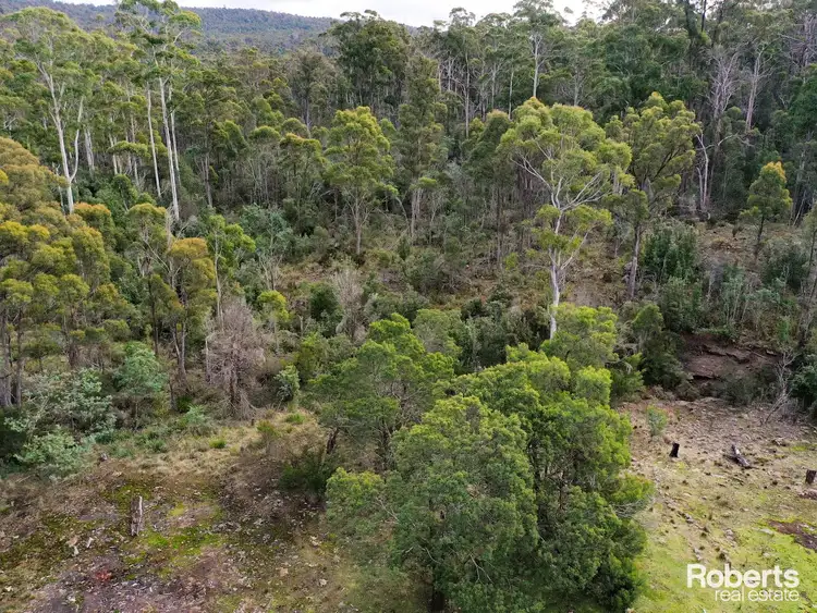 Fifth view of Homely rural property listing, 120 Pipers River Road, Turners Marsh TAS 7267