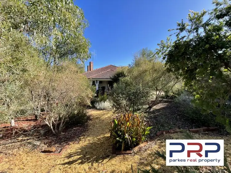 88 Forbes Street, Trundle NSW 2875