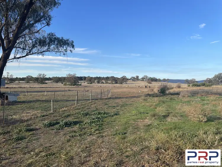 4640 Newell Highway, Peak Hill NSW 2869