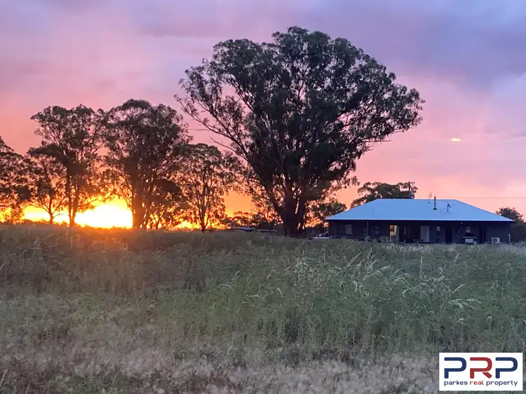 Fourth view of Homely house listing, 4640 Newell Highway, Peak Hill NSW 2869