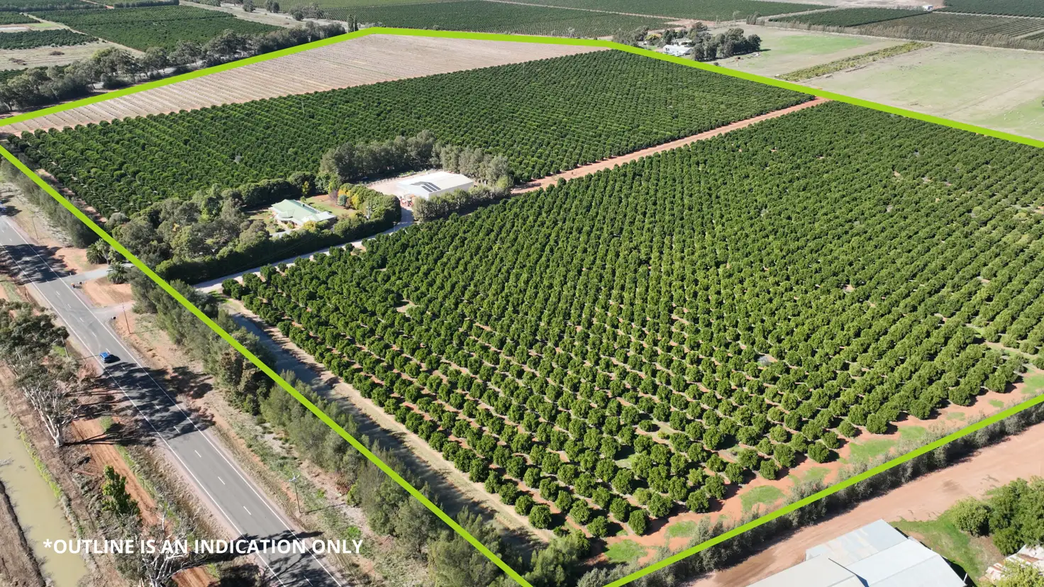Main view of Homely rural property listing, 369 Whitton Road, Leeton NSW 2705