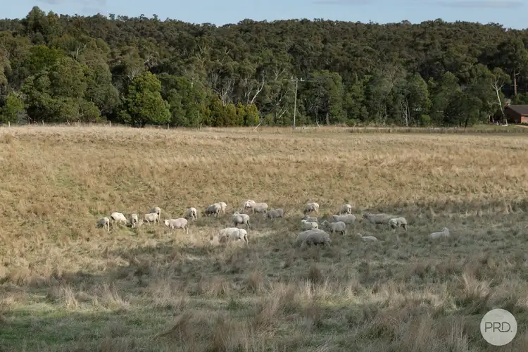 Sixth view of Homely land listing, LOT CA8, 141 Sebastopol-Smythesdale Road, Smythesdale VIC 3351