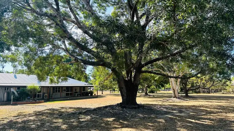 Seventh view of Homely house listing, 6 Alice Court, Alice River QLD 4817