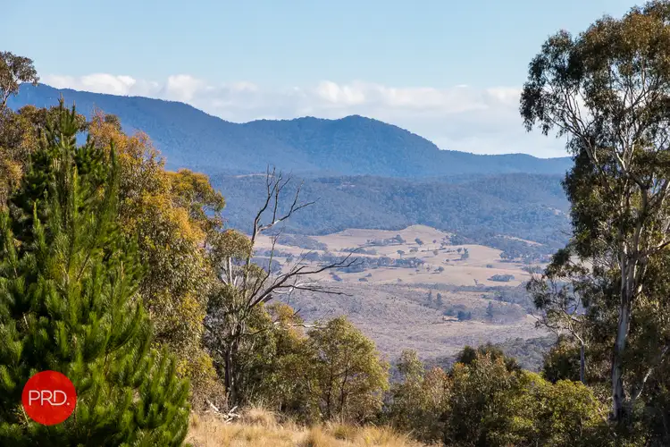 Second view of Homely rural property listing, 212 Foggy Forest Drive, Captains Flat NSW 2623