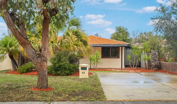 42B Eynesford Street, Gosnells WA 6110