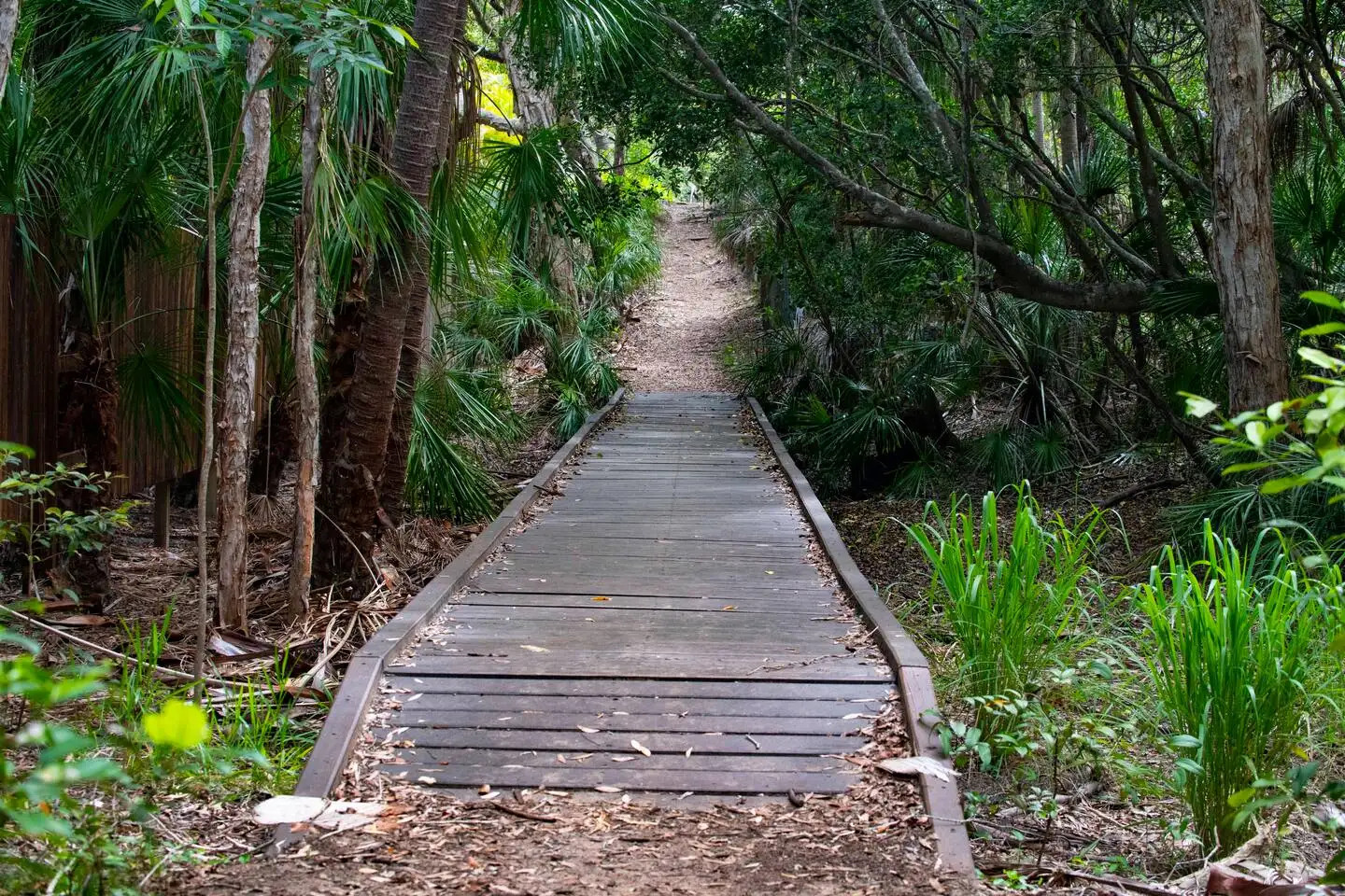 Main view of Homely apartment listing, 11/52 Captain Cook Drive, Agnes Water QLD 4677