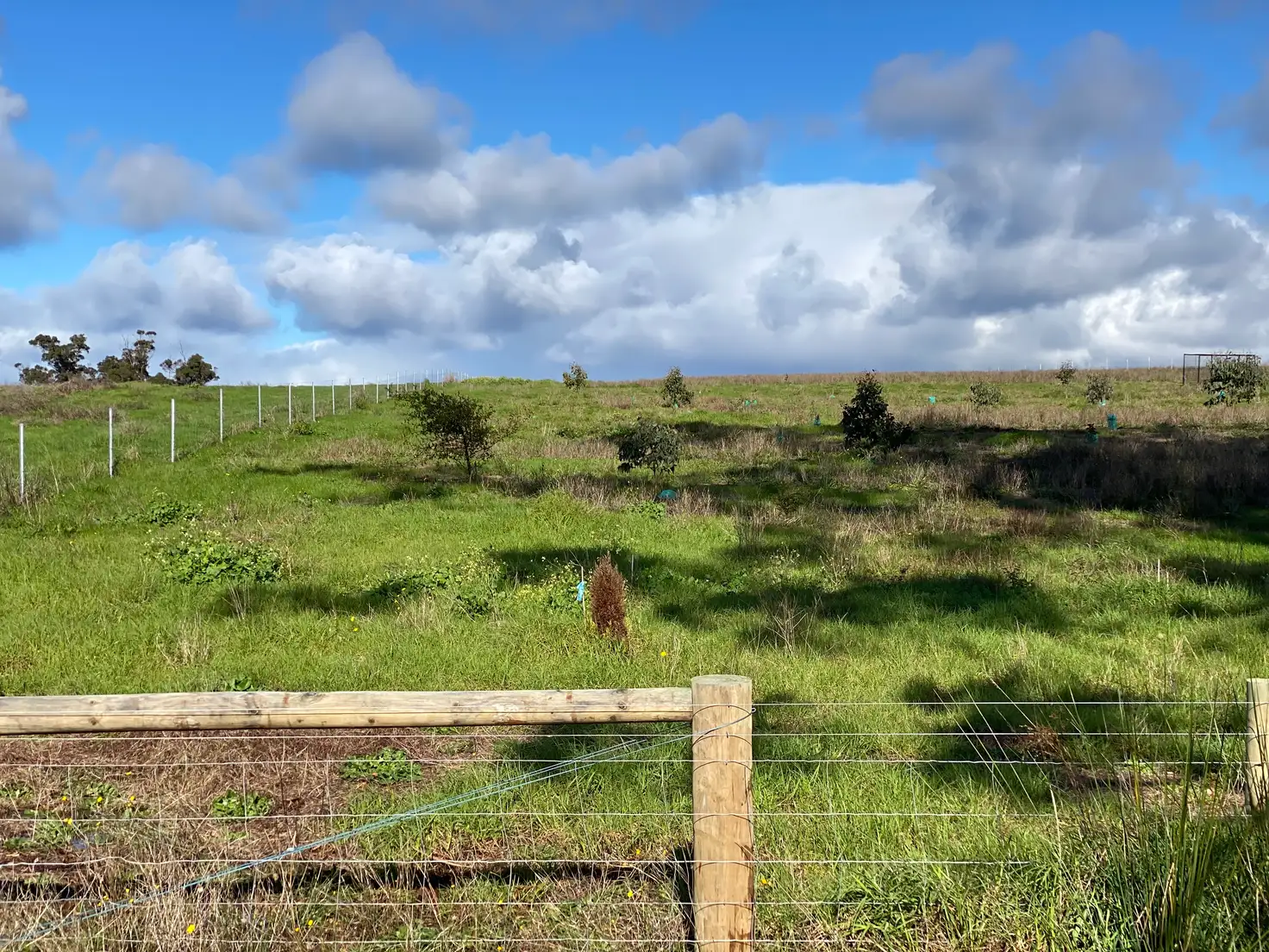 Main view of Homely land listing, 286 Golf Links Road, Pemberton WA 6260