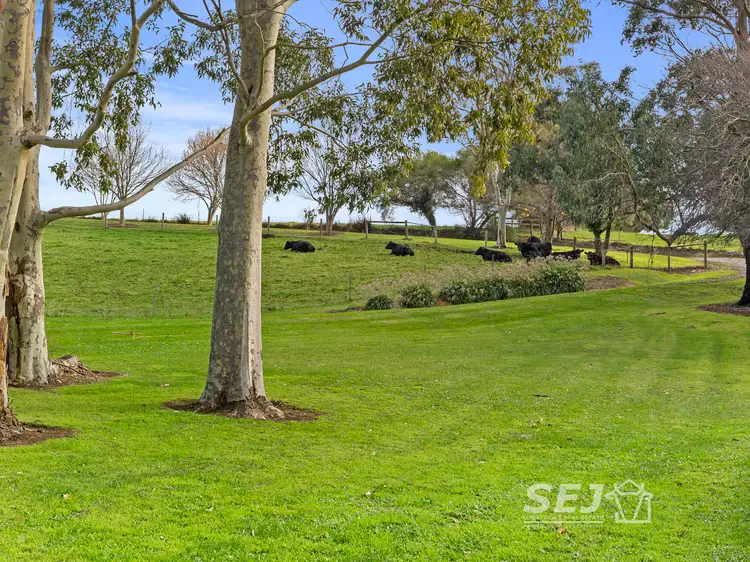 485 Canavans Road, Leongatha North VIC 3953