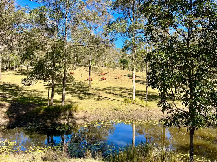 Fifth view of Homely rural property listing, 78 Vidoni Road, Neurum QLD 4514
