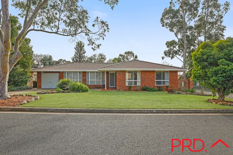 36 Kurrajong Street, Tamworth NSW 2340