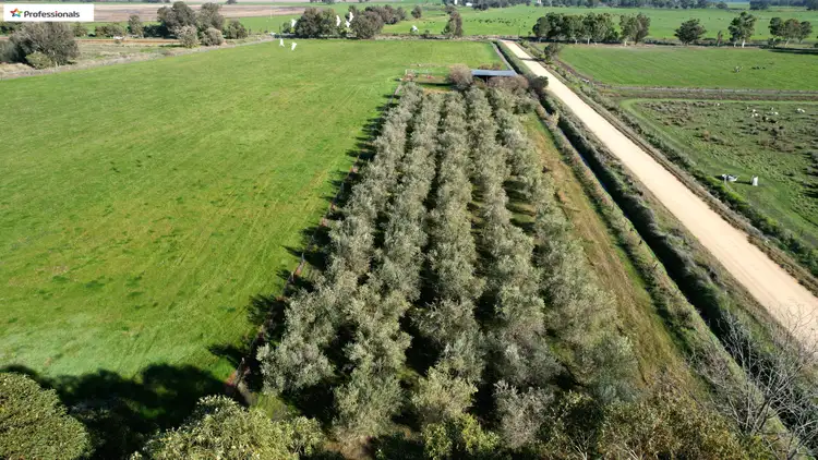 Seventh view of Homely land listing, Lot 304 Paterson Road, Waroona WA 6215