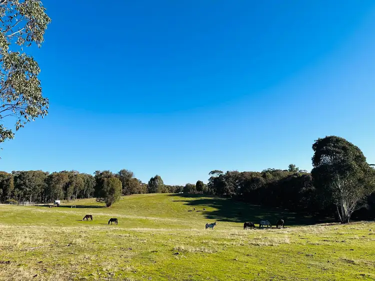 721//DP716739 Berry Road, Tumbarumba NSW 2653