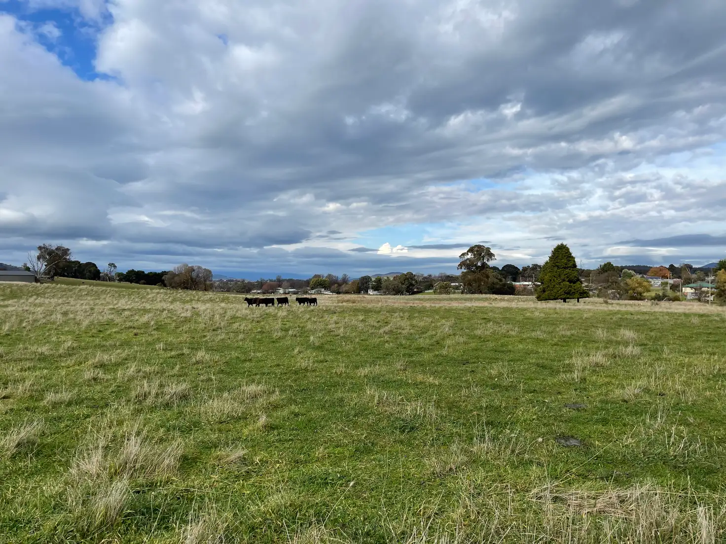 Main view of Homely land listing, LOT 138 Chisholm Street, Tumbarumba NSW 2653
