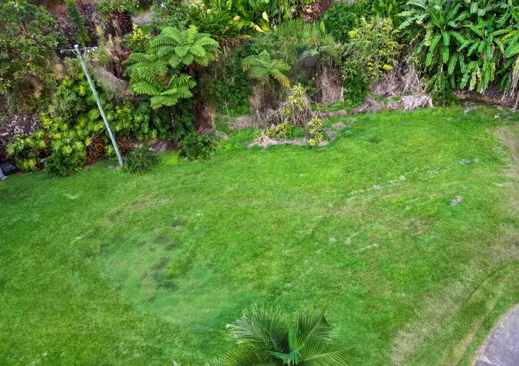 Third view of Homely land listing, 1295 Mossman Daintree Road, Rocky Point QLD 4873