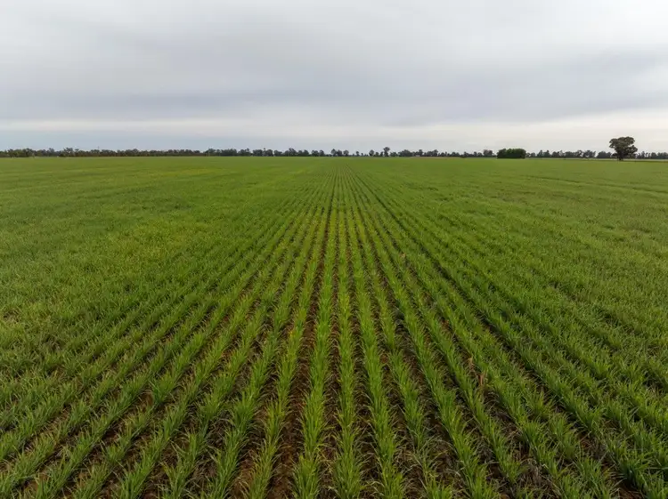 Second view of Homely rural property listing, 'Eastleigh' 850 Newell Highway, West Wyalong NSW 2671