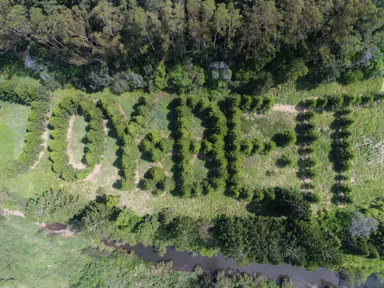 Third view of Homely rural property listing, 1268 Tyalgum Road, Tyalgum NSW 2484