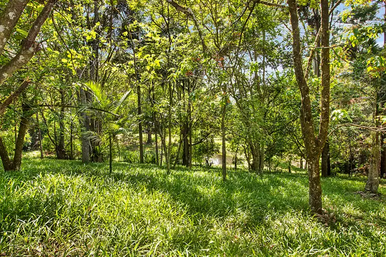 Fourth view of Homely rural property listing, 1268 Tyalgum Road, Tyalgum NSW 2484