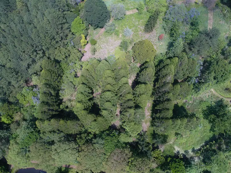 Fifth view of Homely rural property listing, 1268 Tyalgum Road, Tyalgum NSW 2484