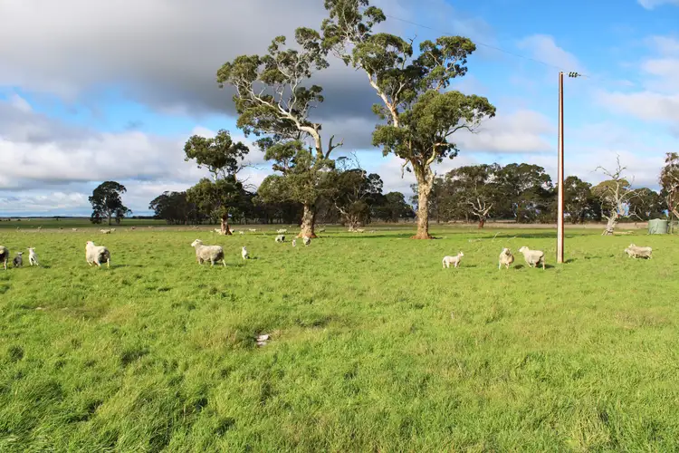 Third view of Homely rural property listing, Lot 464 Plantation Road, Stewarts Range, Moyhall SA 5271