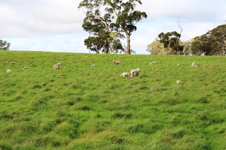 Fourth view of Homely rural property listing, Lot 464 Plantation Road, Stewarts Range, Moyhall SA 5271