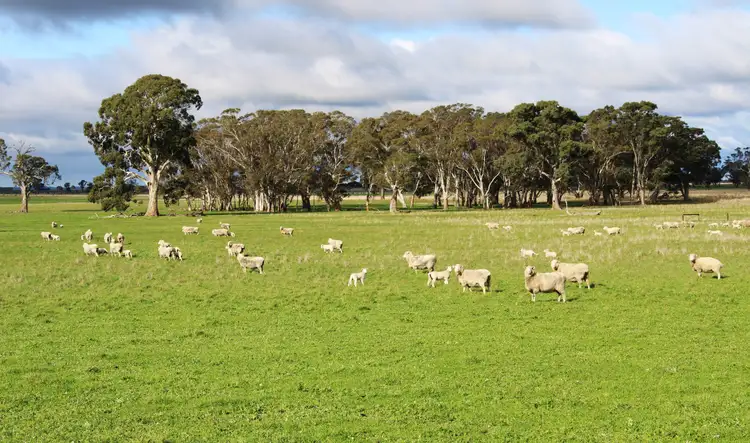 Fifth view of Homely rural property listing, Lot 464 Plantation Road, Stewarts Range, Moyhall SA 5271