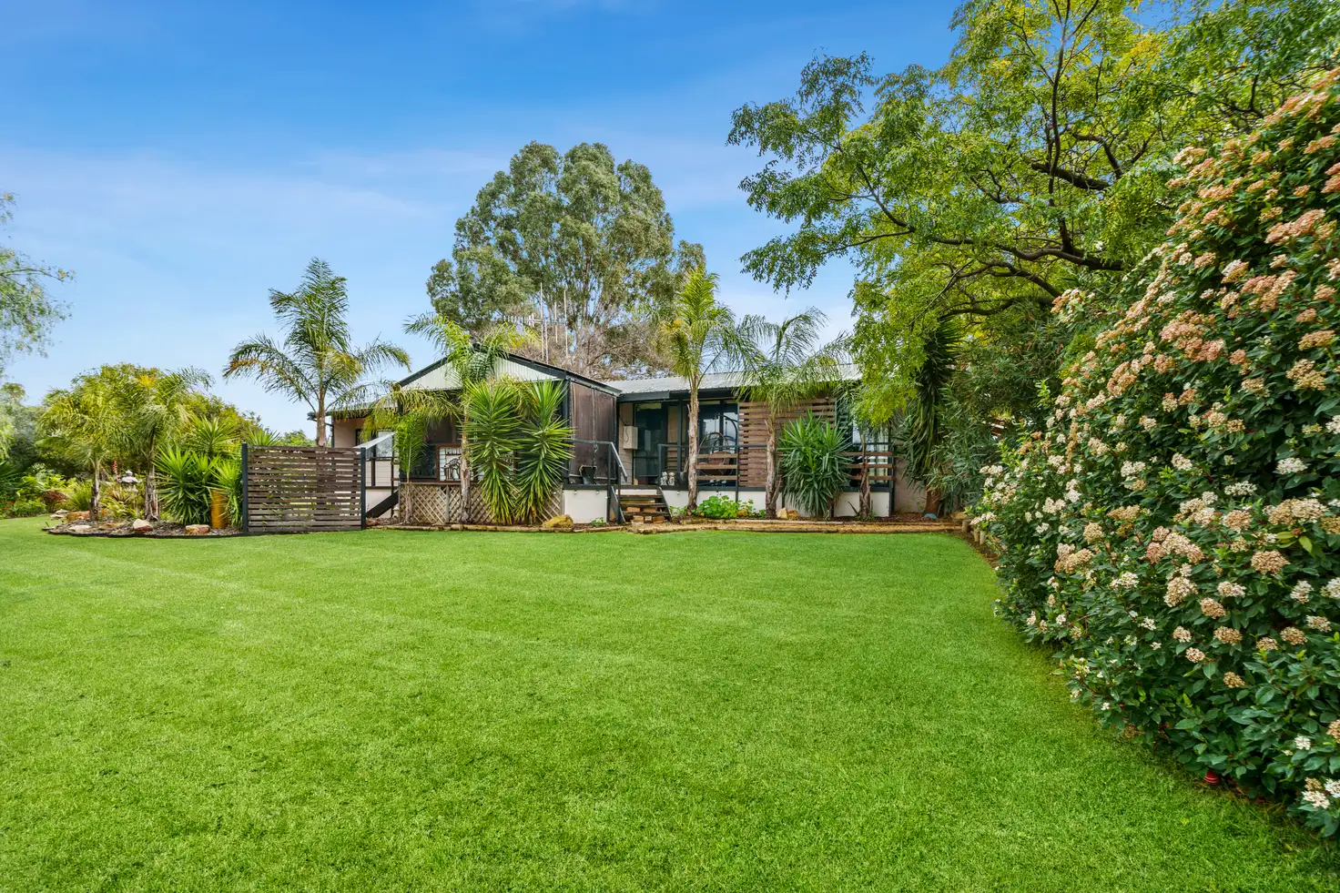 Main view of Homely house listing, 174 Loveday Road, Cobdogla SA 5346