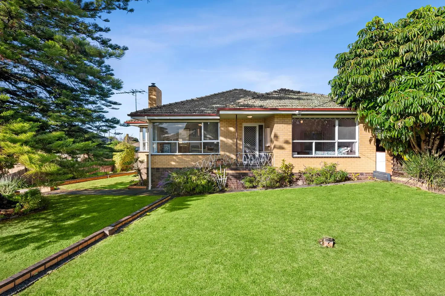 Main view of Homely house listing, 14 Peter Street, Bell Post Hill VIC 3215