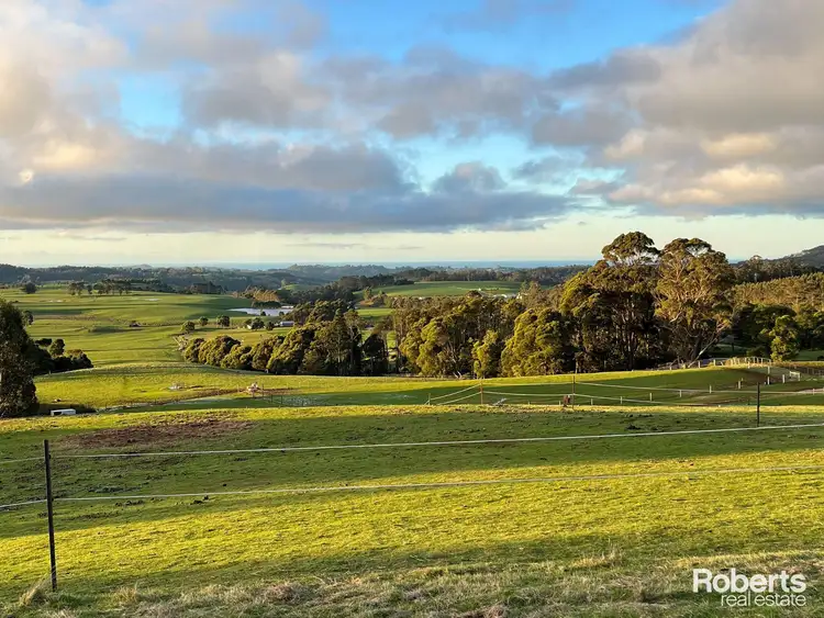 Third view of Homely rural property listing, 38 Kings Road, Upper Natone TAS 7321