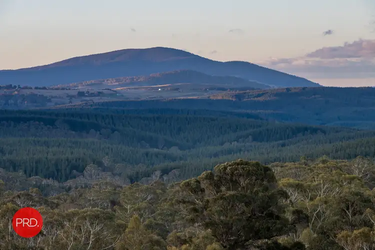 Main view of Homely rural property listing, Lot 12 & 31 Nightjar Rd, Kindervale NSW 2622