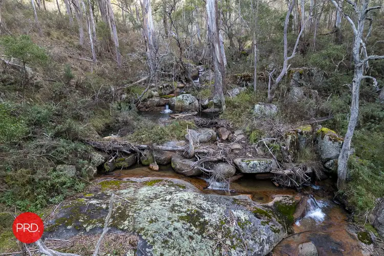 Seventh view of Homely rural property listing, Lot 12 & 31 Nightjar Rd, Kindervale NSW 2622