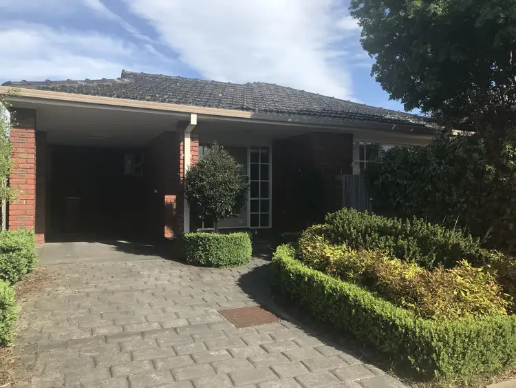 2/49 Collins Crescent