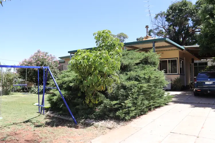 66 Lawrie Terrace, Waikerie SA 5330