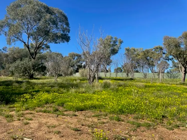 LOT 186, 40 Arundle Avenue, Greenmount WA 6056