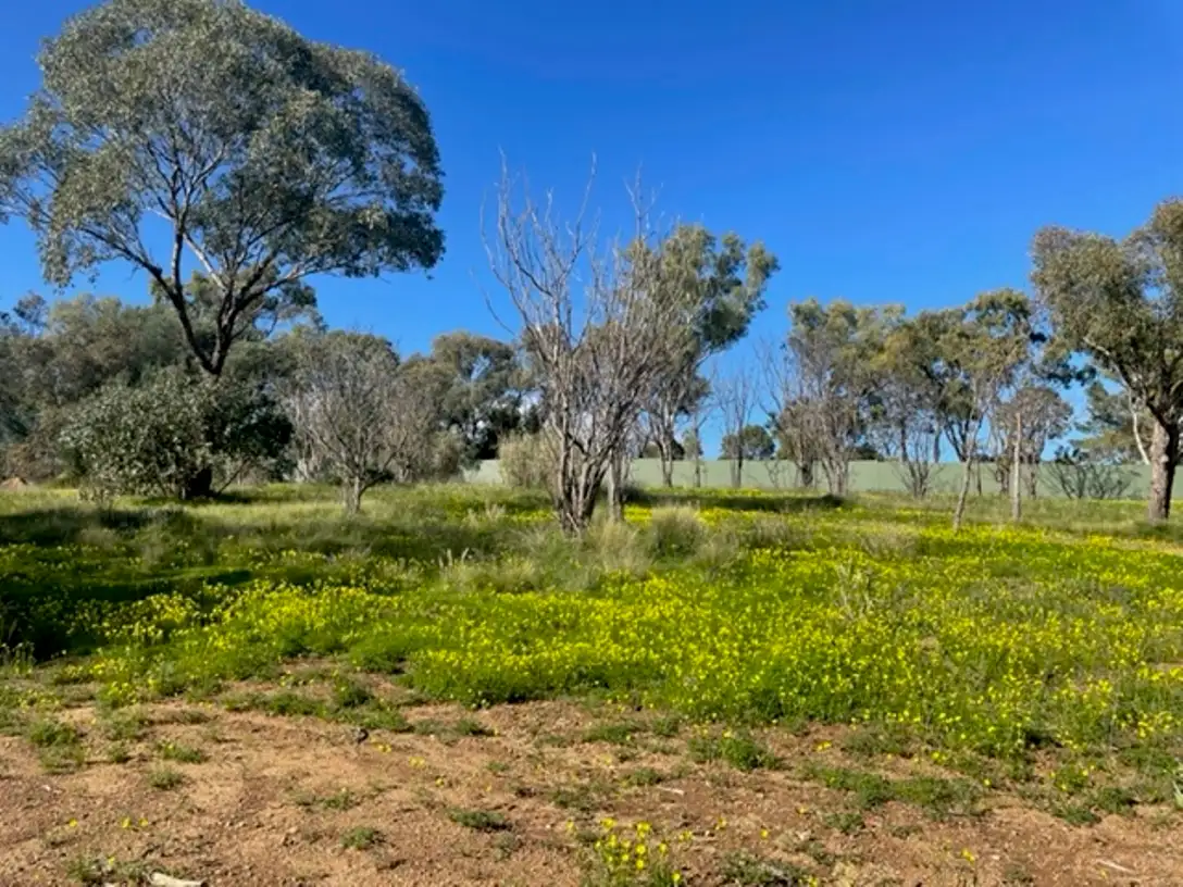 Main view of Homely land listing, LOT 186, 40 Arundle Avenue, Greenmount WA 6056