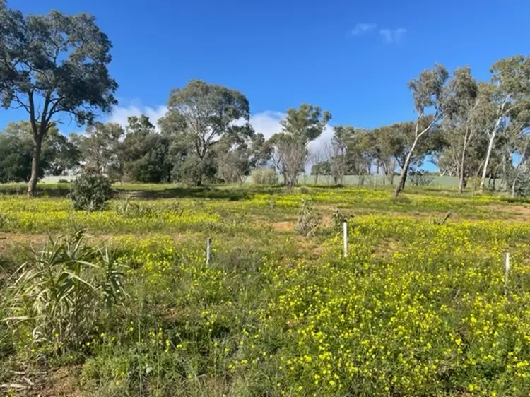 Fifth view of Homely land listing, LOT 186, 40 Arundle Avenue, Greenmount WA 6056