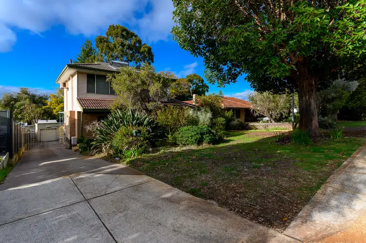 Main view of Homely house listing, 16 Conto Avenue, Dianella WA 6059