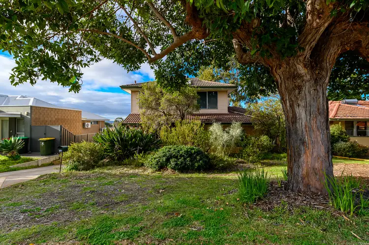 Third view of Homely house listing, 16 Conto Avenue, Dianella WA 6059