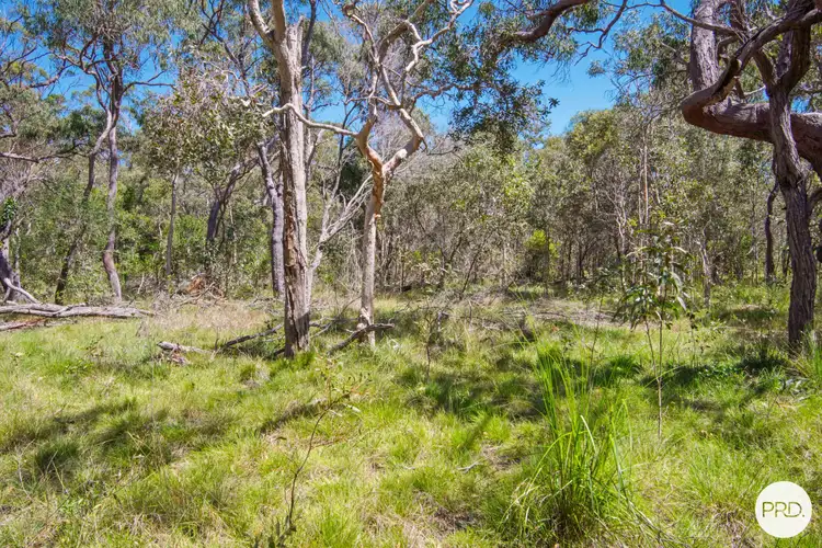 Seventh view of Homely land listing, 744 Wistari Tce, Agnes Water QLD 4677
