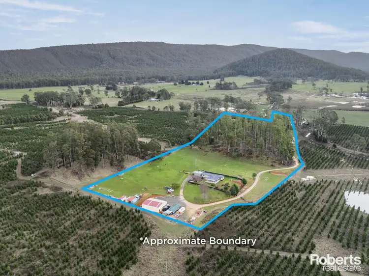 478 Union Bridge Road, Mole Creek TAS 7304