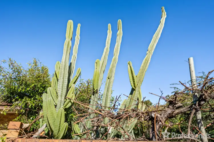 Second view of Homely house listing, 67 Mereworth Way, Marangaroo WA 6064